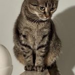 IMG_0027