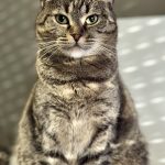 IMG_1744
