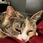IMG_1944
