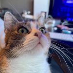 IMG_4881